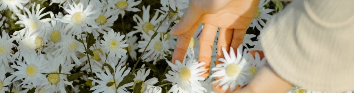 Çevre Dostu Yaklaşımlarla Koku Nötralizasyonu: Temiz Hava ve Sürdürülebilirlik